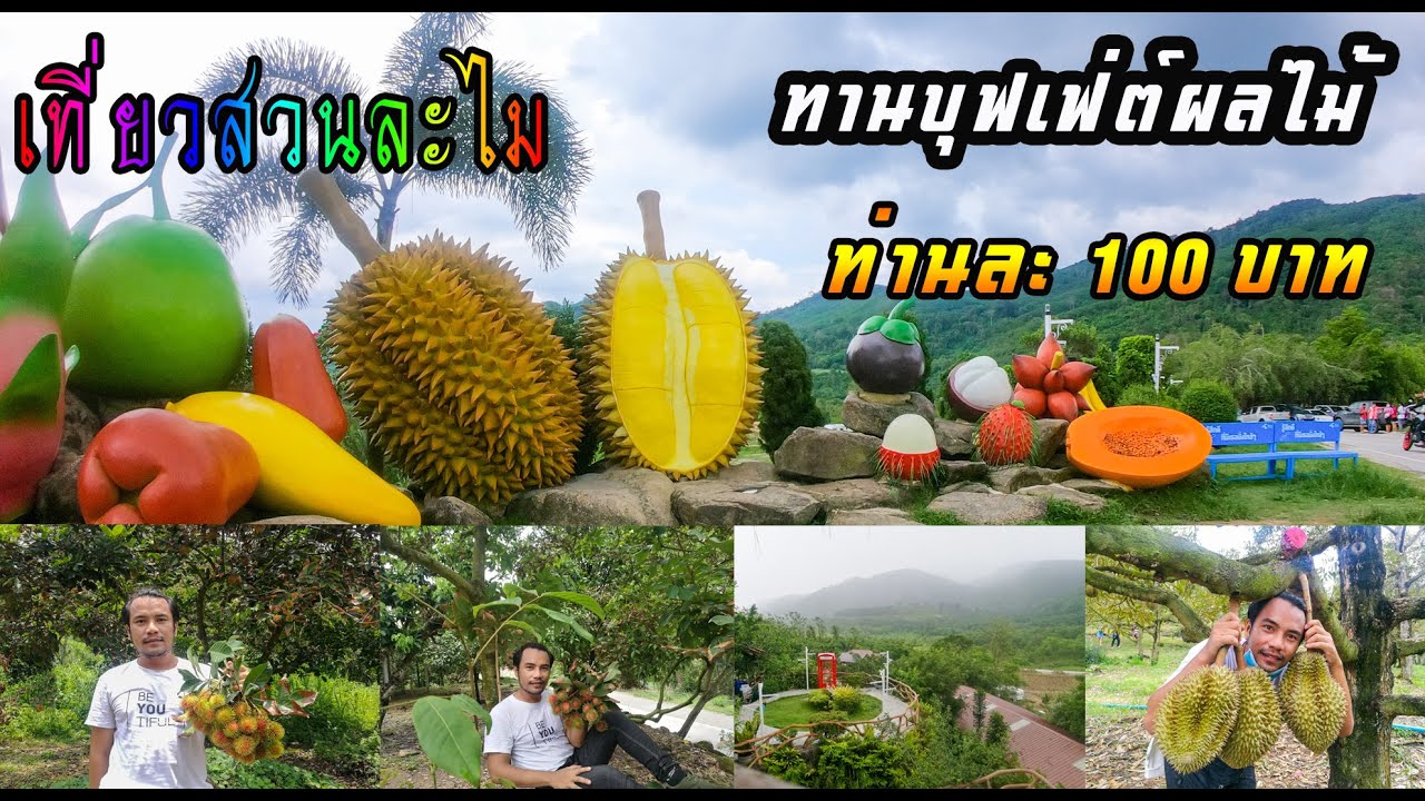เที่ยว สวนละไม กินบุฟเฟ่ต์ผลไม้ ท่านละ 100 บาท