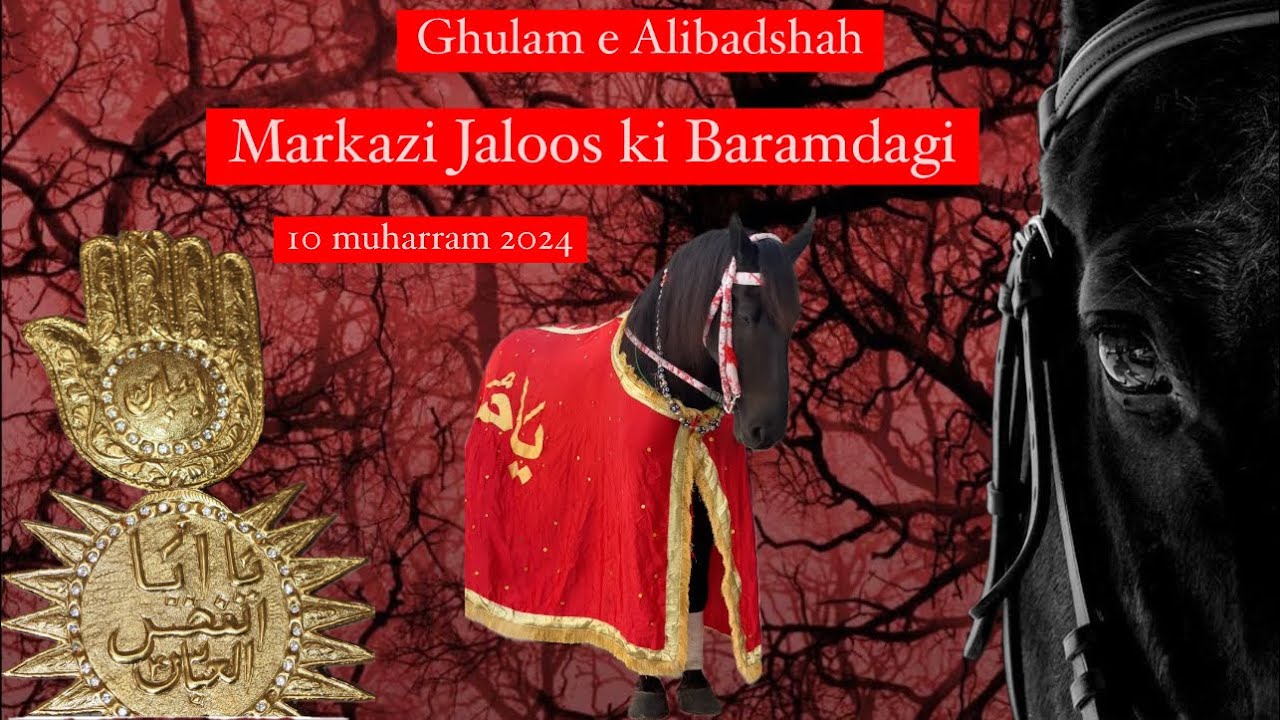 راولپنڈی کی مقبول ذوالجناح ۱۰ محرم یومِ عاشور ۱۴۴۶ ہجری مرکزی جلوس میں برآمدگی