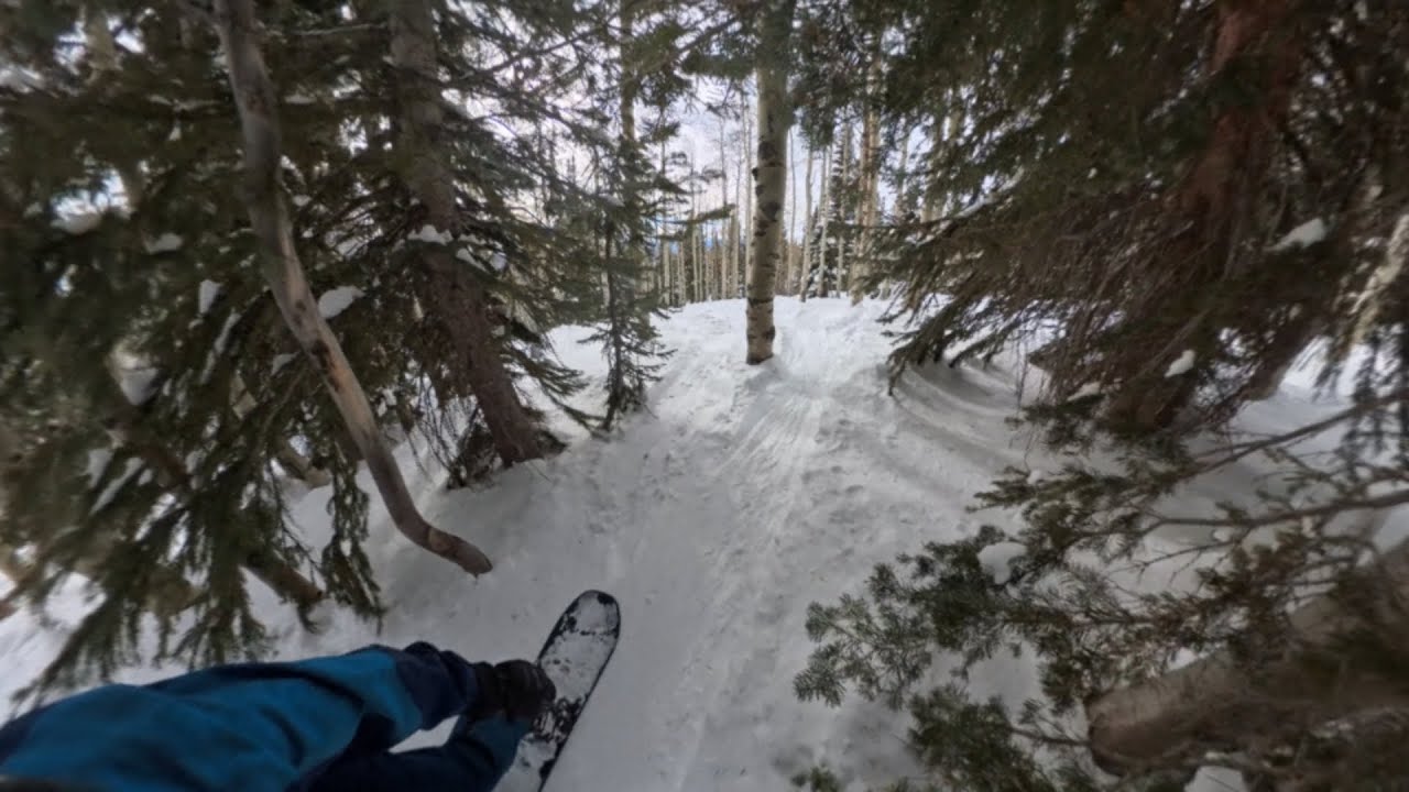 Steamboat Tree Runs