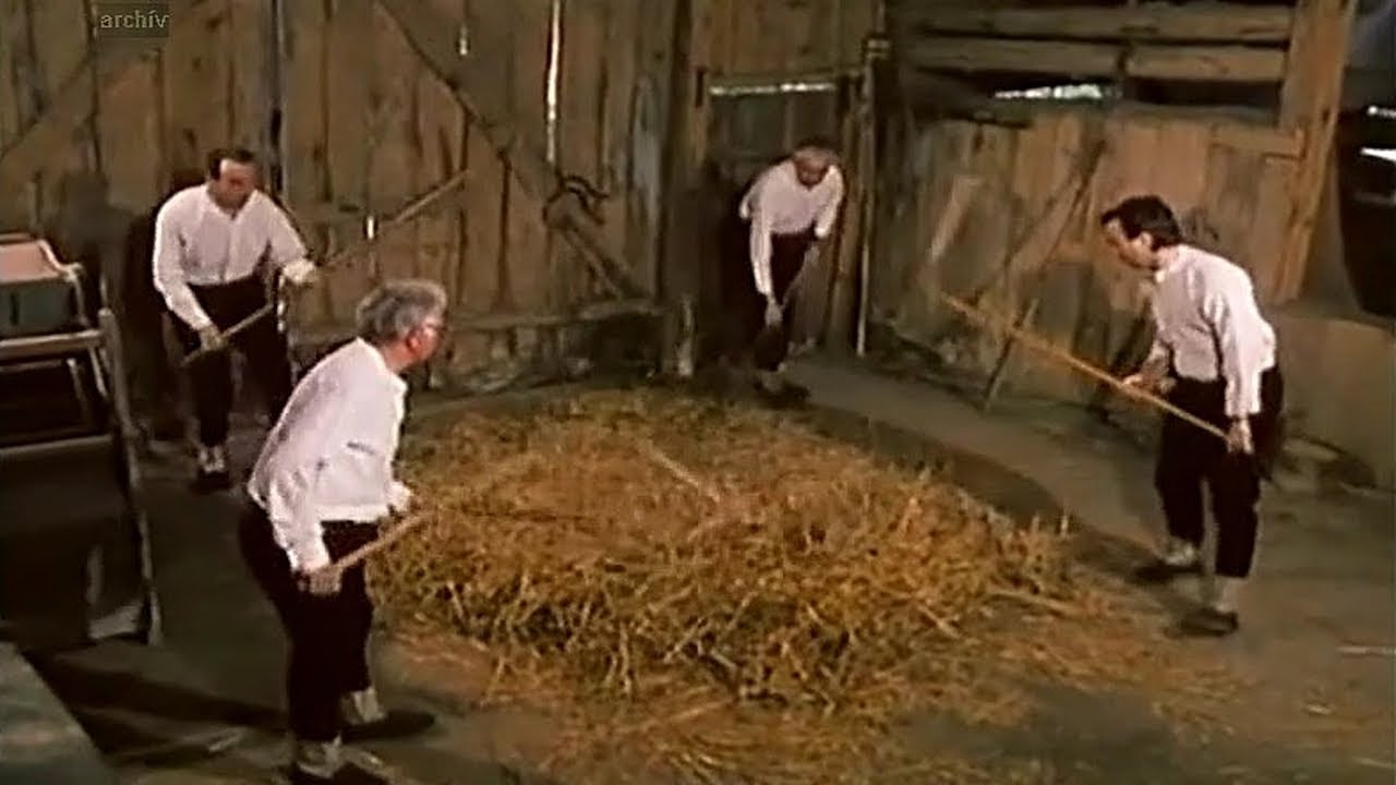 Agrárna kultúra