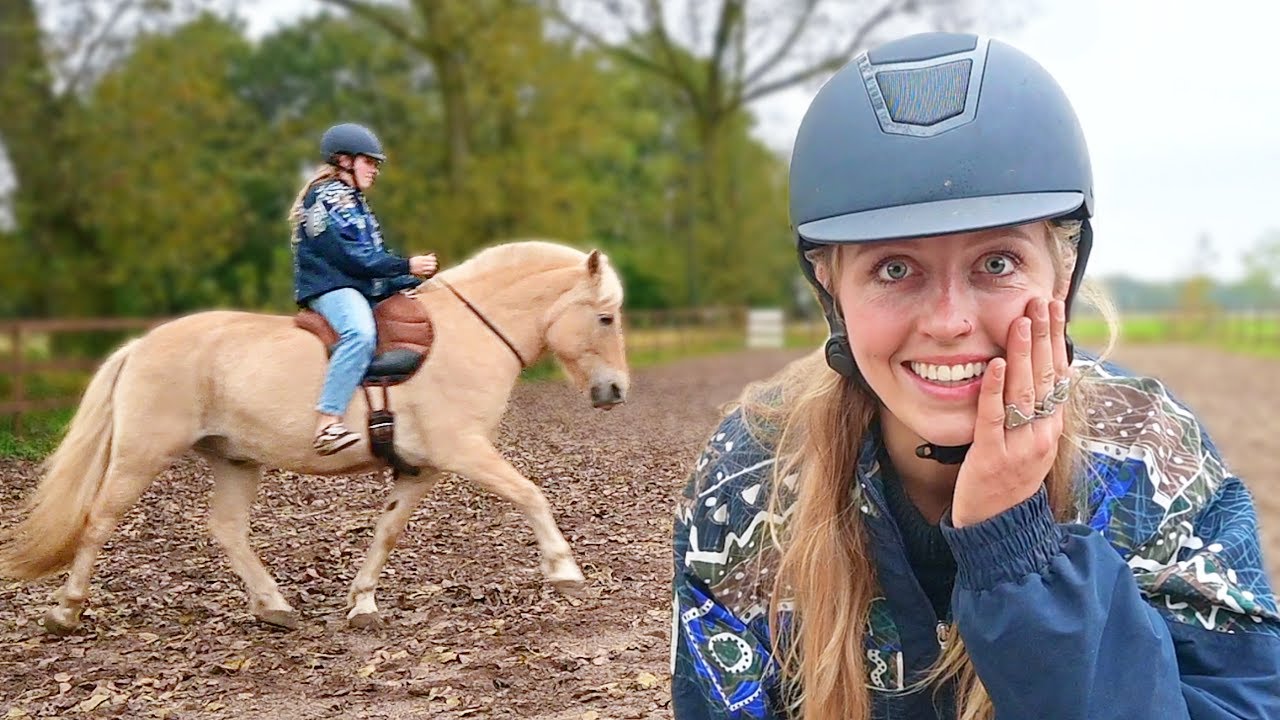 De lang verwachte stalvlog.. 🐴