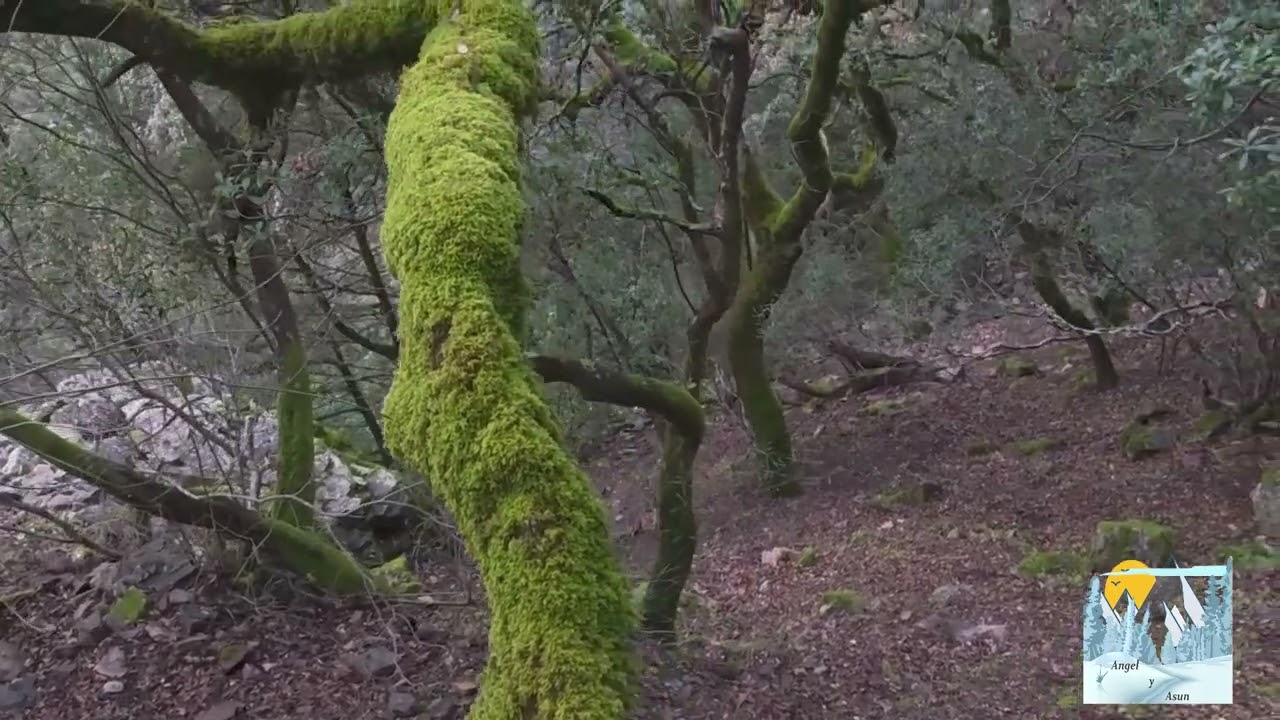 LAS BATUECAS 23 del 11 del 2024