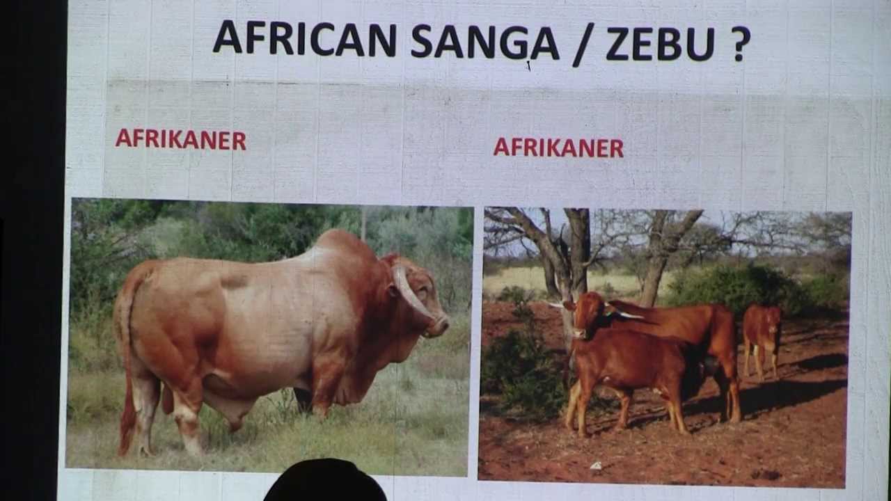 Sustainable Ranching, Day 1 Part 7