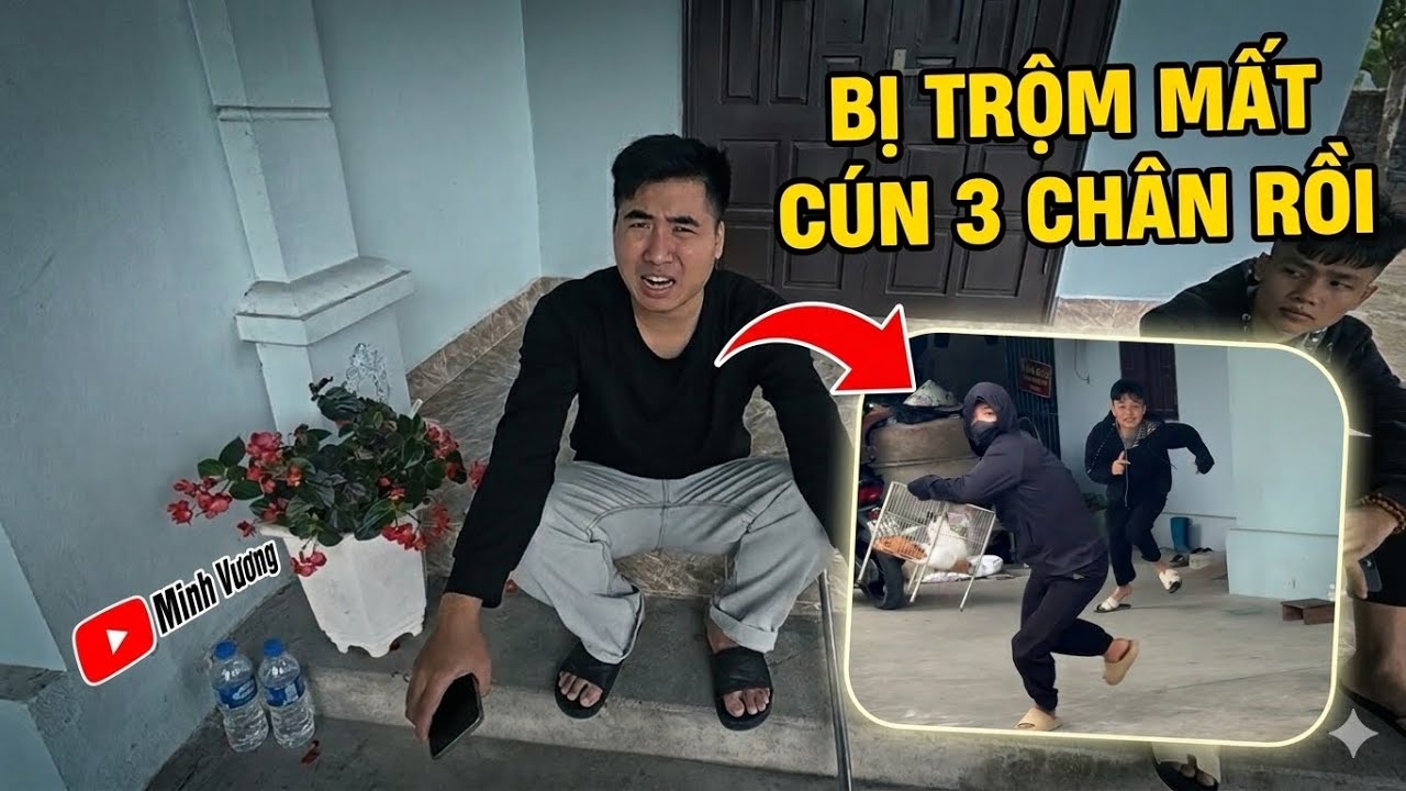 Kẻ Trộm Đột Nhập Vào Nhà Toàn Ngơ T.R.Ộ.M Chó Sữa 3 Chân | Và Cái Kết ! 