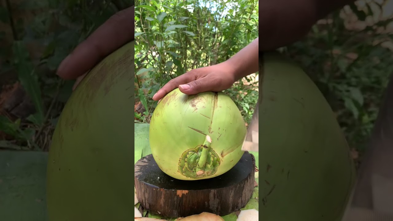 So Satisfying! Coconut Cutting Skills   Happy Yummy   