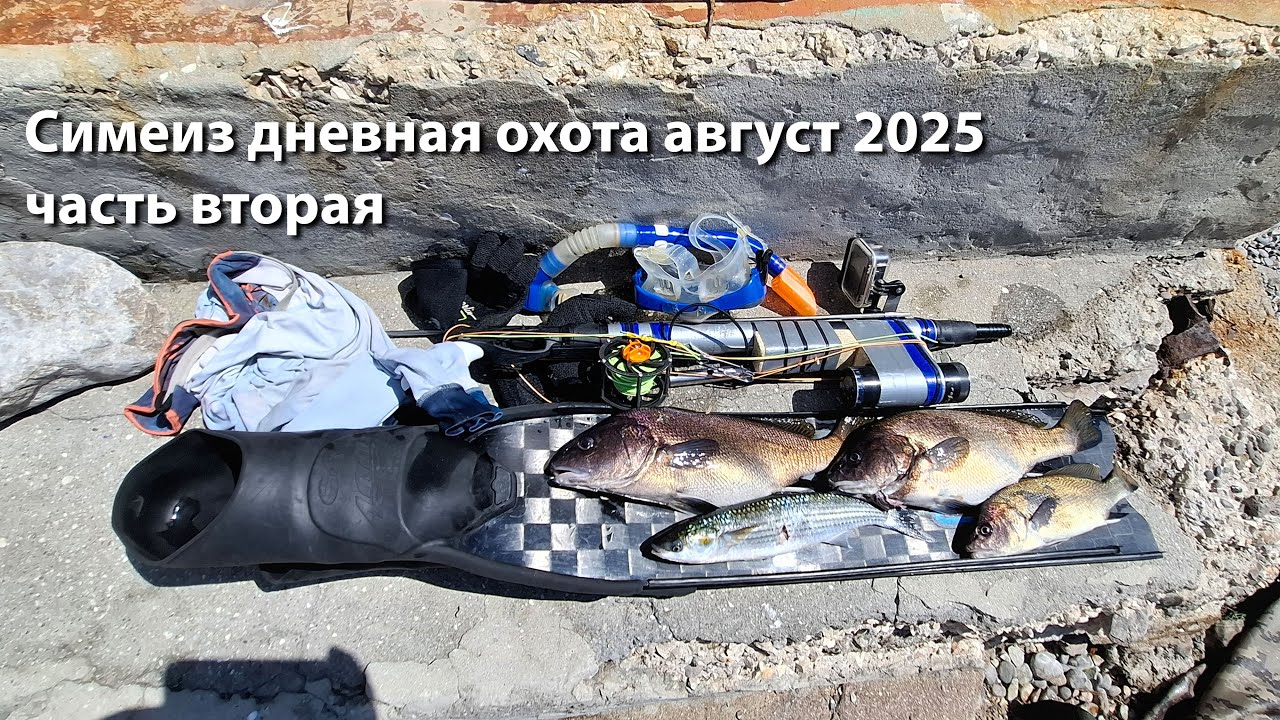 Дневная подводная охота Симеиз август 2025 год часть вторая. Omer air one