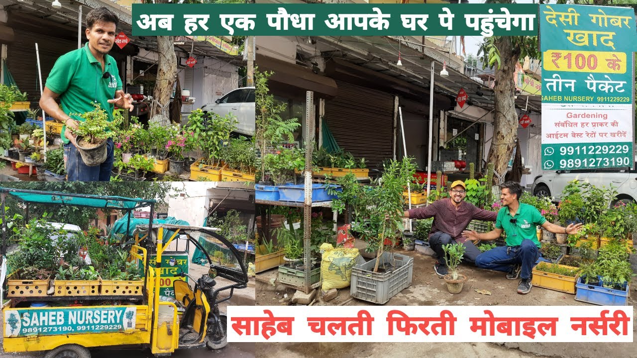 दिल्ली की चलती फिरती प्लांट नर्सरी | Plants Home Delivery | Variety of Plants पौधे Planters देसी खाद