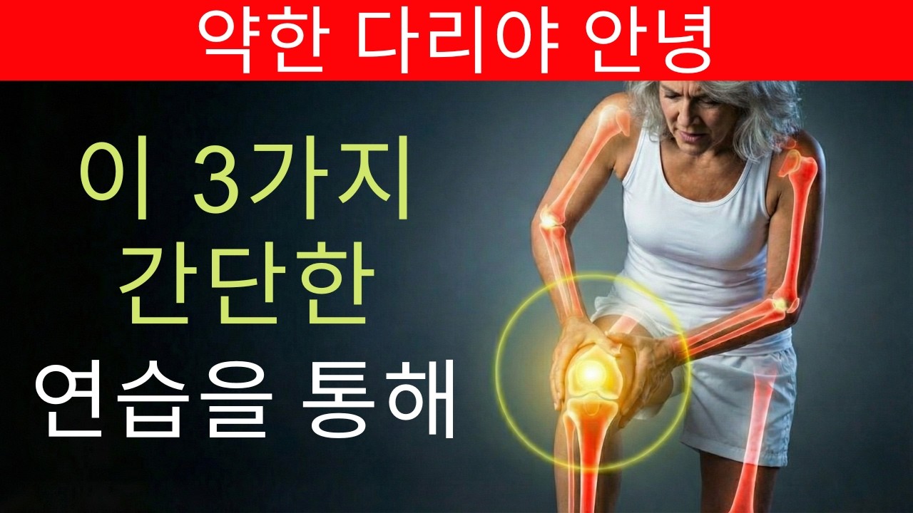 휠체어를 피하고 싶다면 꼭 보세요 – 60세 이후 무릎을 살리는 3가지 운동