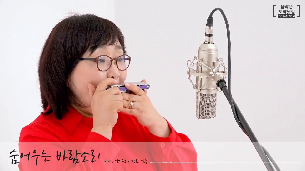 숨어우는바람소리 하모니카연주(트레몰로 임경원) / 5도베이스, 분산화음, 룰룰루,5도텅블럭싱글