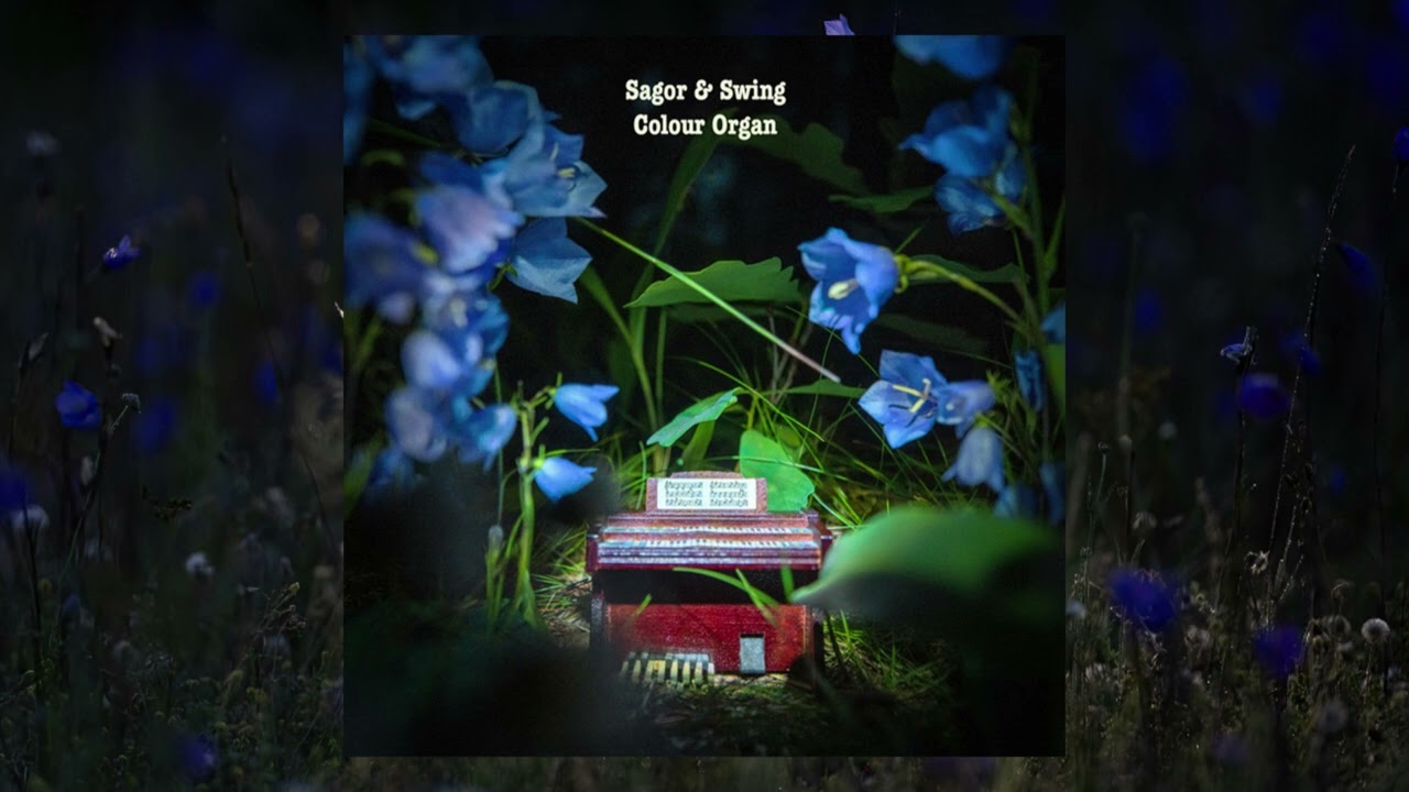 Sagor & Swing - Colour Organ (2024)