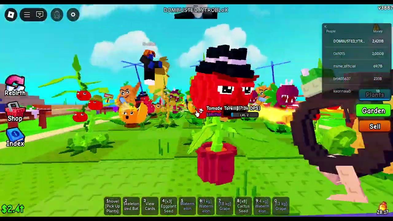 POV; (SCAMMER VS ME)