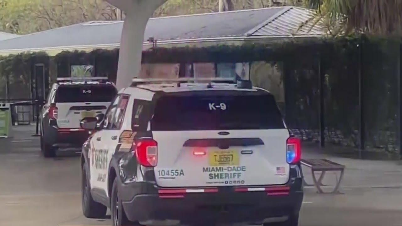Hoax bomb threats hit Zoo Miami for 4th day; added security as investigation continues
