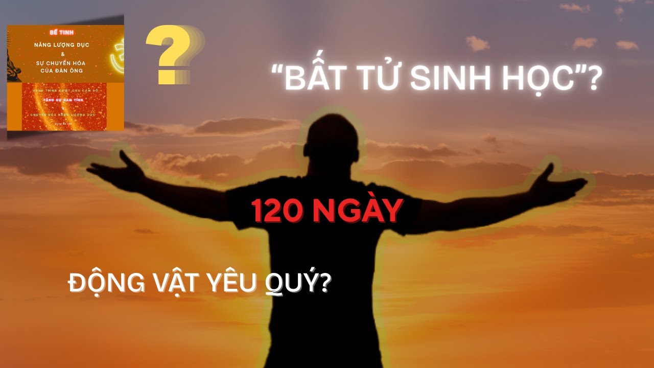 Bế tinh, năng lượng dục v&agrave; sự chuyển h&oacute;a của đ&agrave;n &ocirc;ng