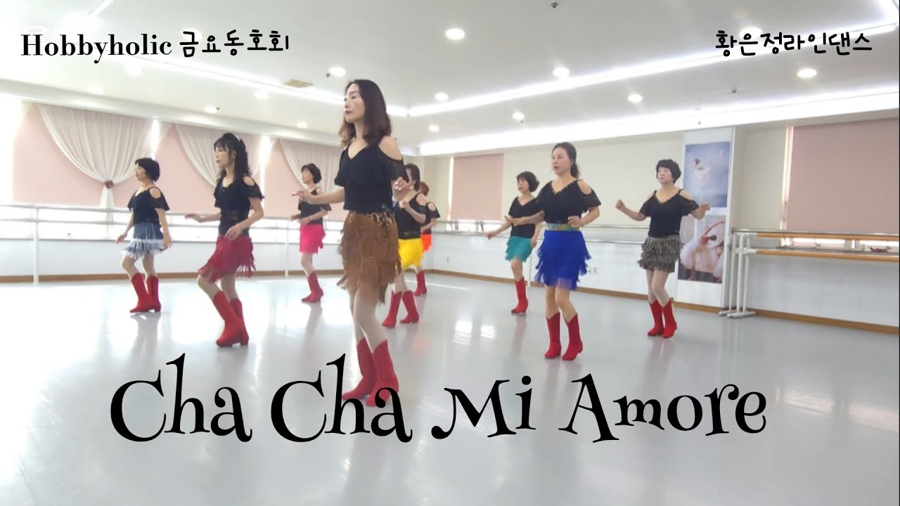 Cha Cha Mi Amore Line Dance - High Beginner Level/#하비홀릭라인댄스#금요동호회#부산라인댄스