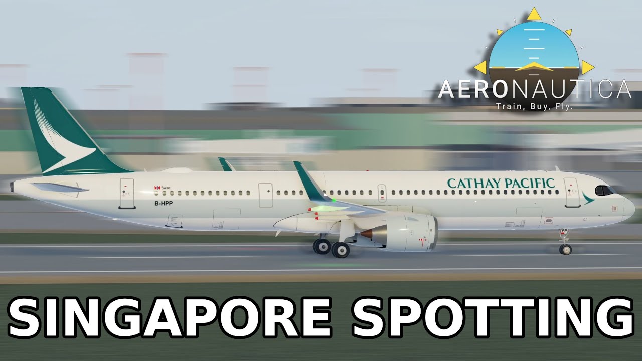 Singapore Changi (Udyanyapura Melani) plane spotting - Aeronautica