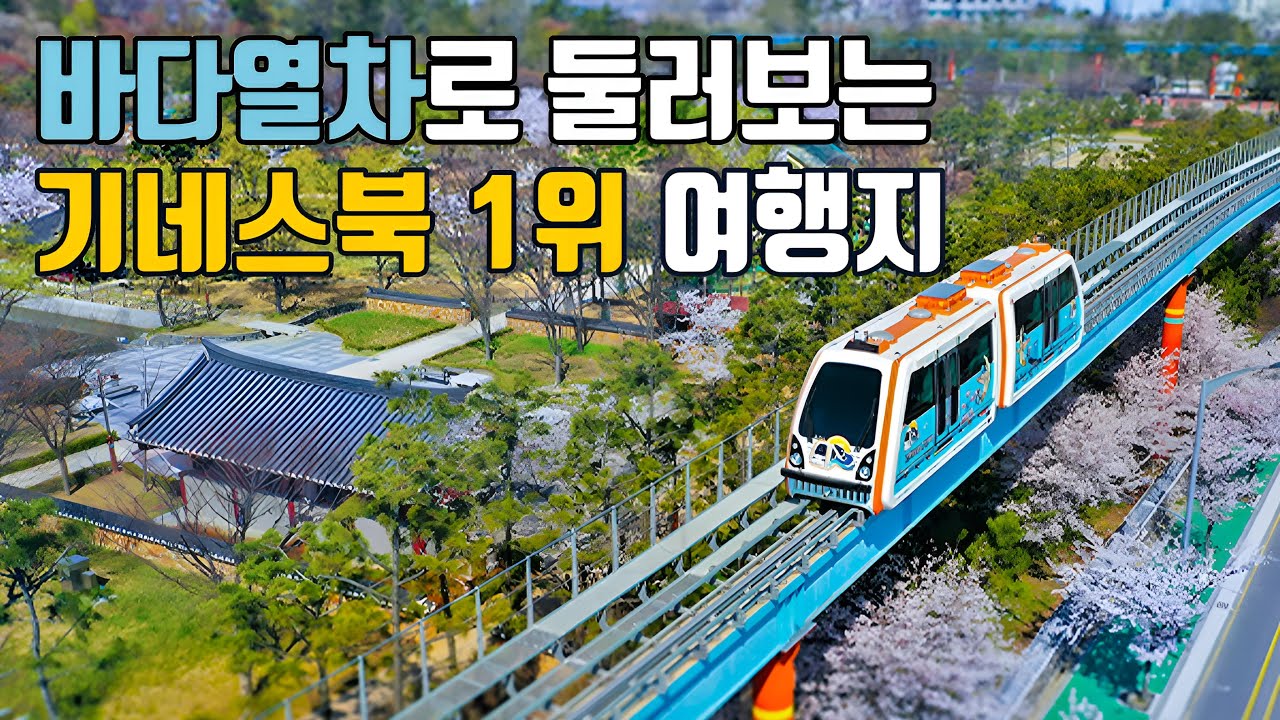 국내최장 도심형 바다열차 타고 가는 &lsquo;기네스북 세계 1위&rsquo; 여행지🚃 도심속 해변산책🏖️ 대중교통 당일치기🚎