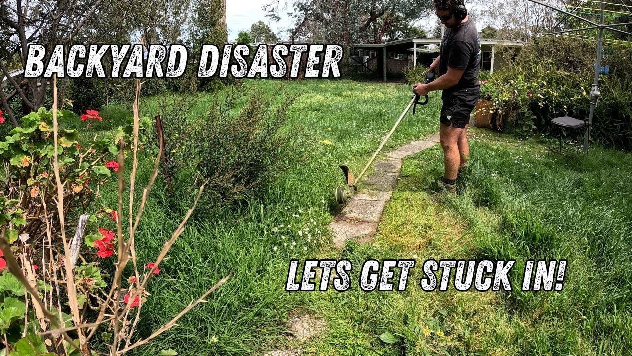 The most satisfying overgrown Lawn Transformation! 😲