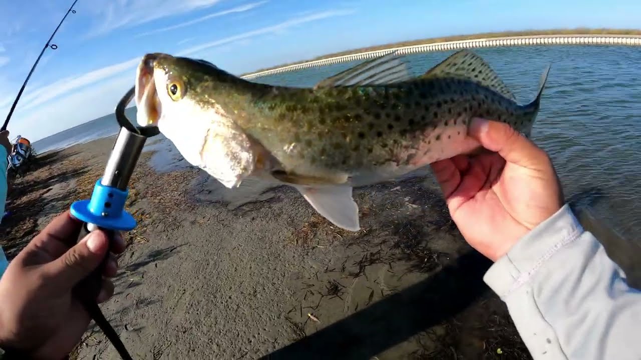 First time out on the kayak! TROUT WERE ON FIRE!!