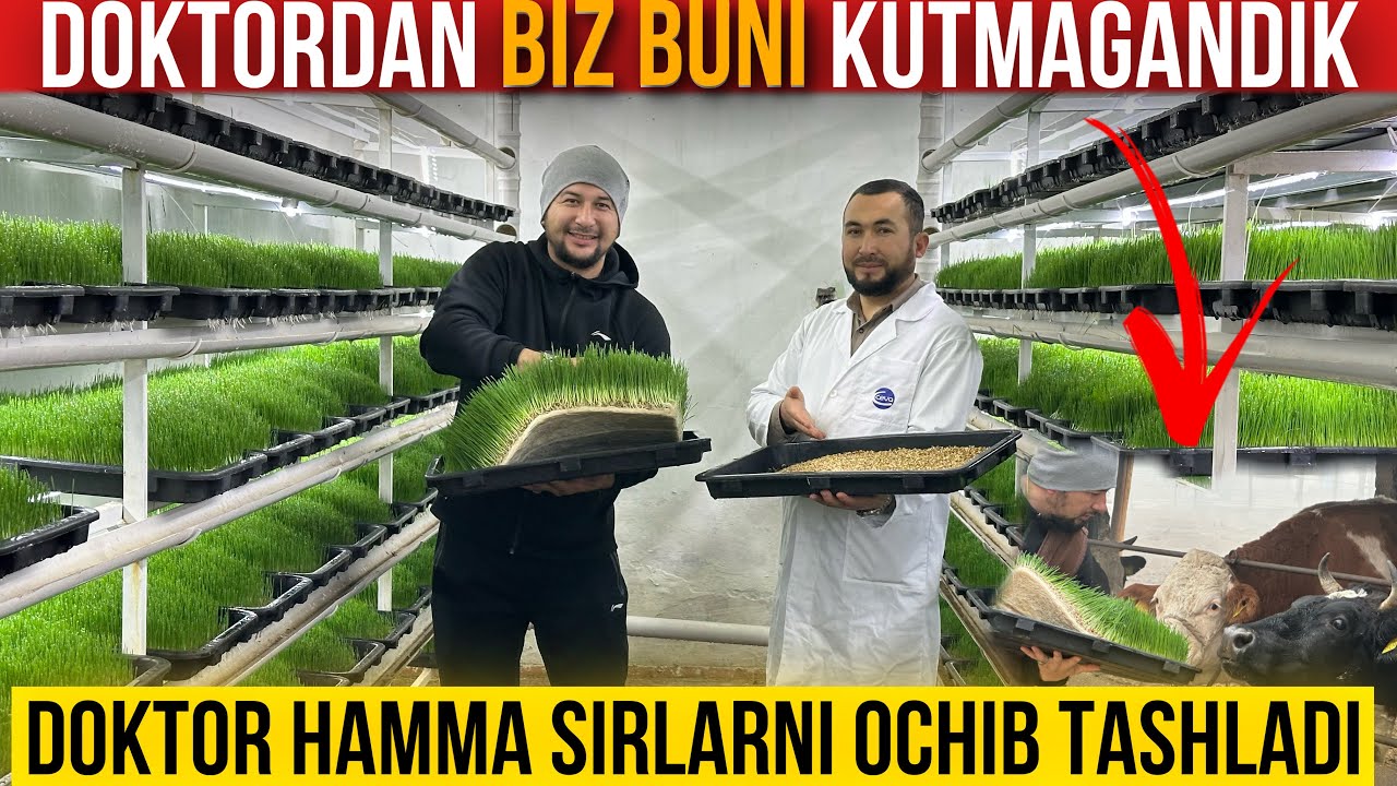 GIDROPONIKA NIMALARGA QODIR?!