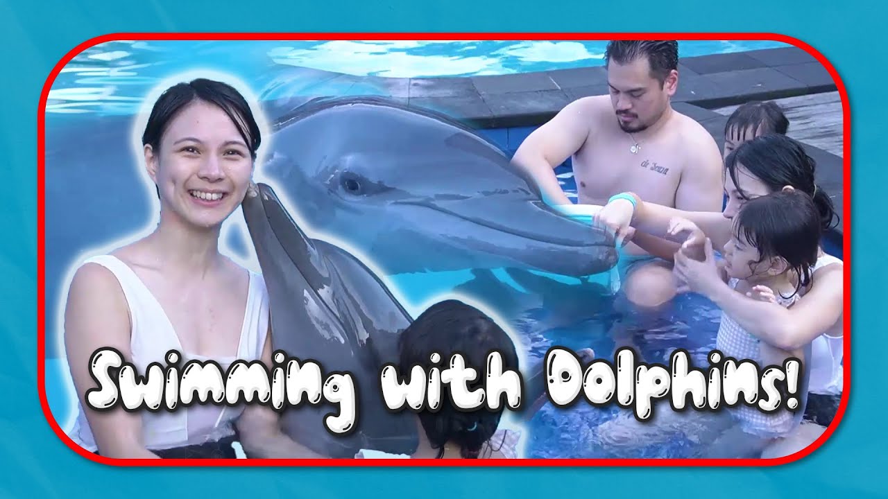 Berenang Bersama Lumba-Lumba di Bali Exotic Marine Park!