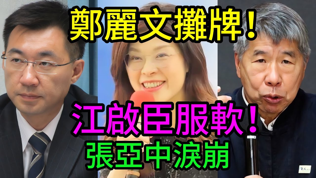 花蓮徹底炸鍋！鄭麗文含淚“斬”私情？硬剛江啟臣背後，竟是給張亞中留了這條“後路”！看哭無數藍營人！ #鄭麗文 #張亞中 #江啟臣