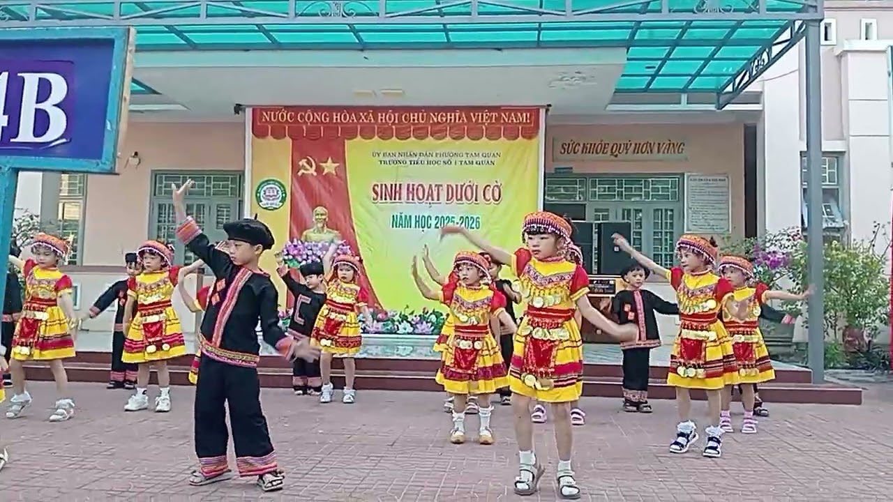 Xuân về trên rừng núi #vila#BapGao#bapgao #hashtag 