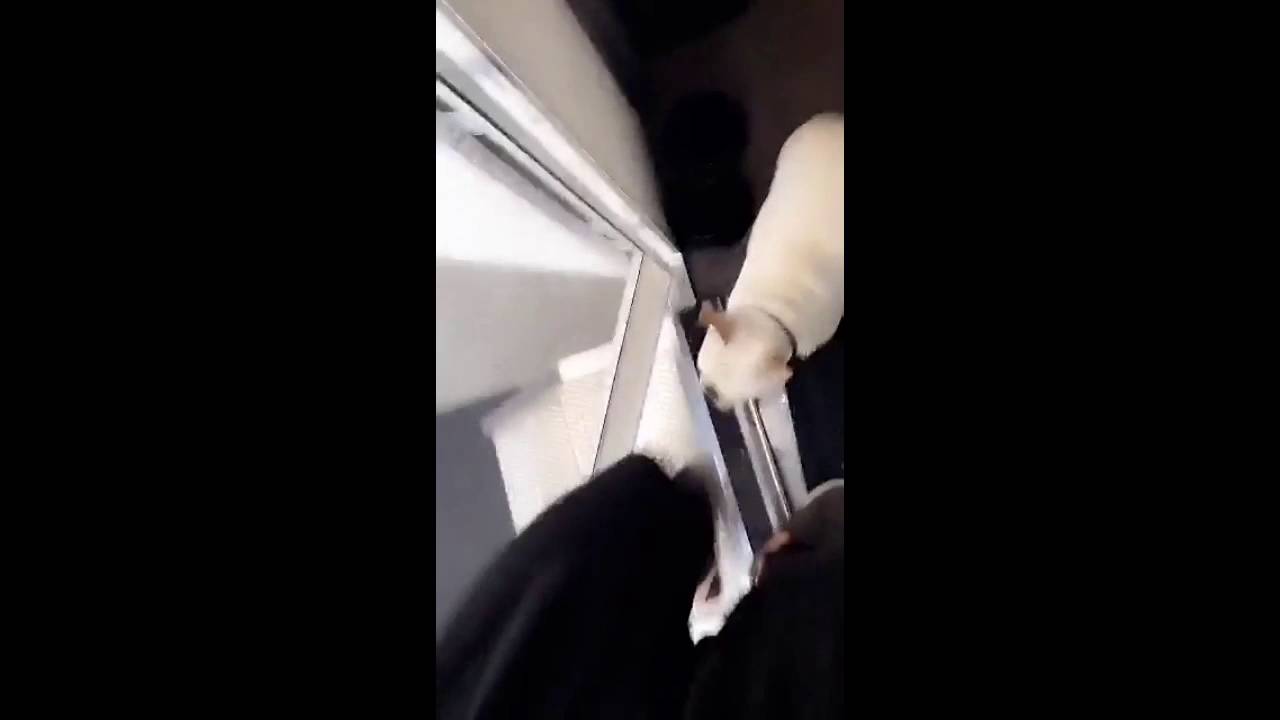 Chloe Bennet gives a tour of her trailer