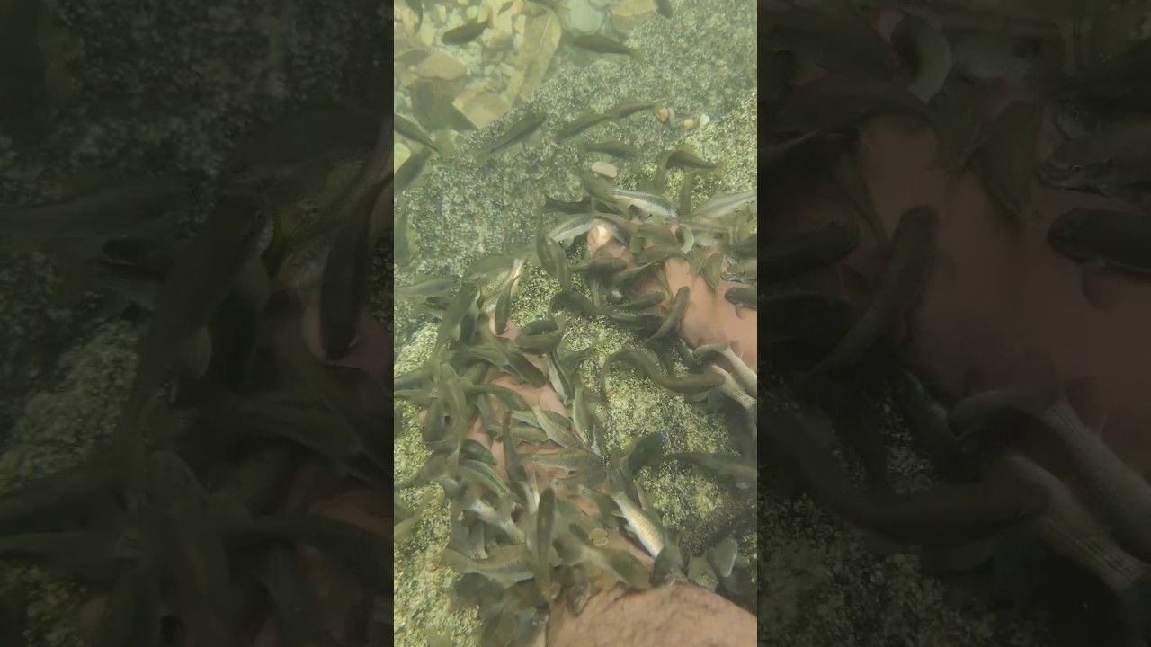 Puttur moolakona water falls 