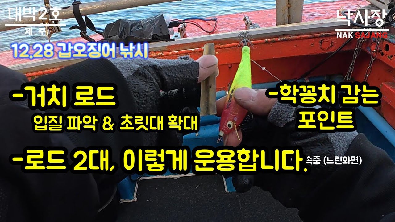 제주 심해 갑오징어 낚시 -  심해 갑 입질 확대해서 봅니다
