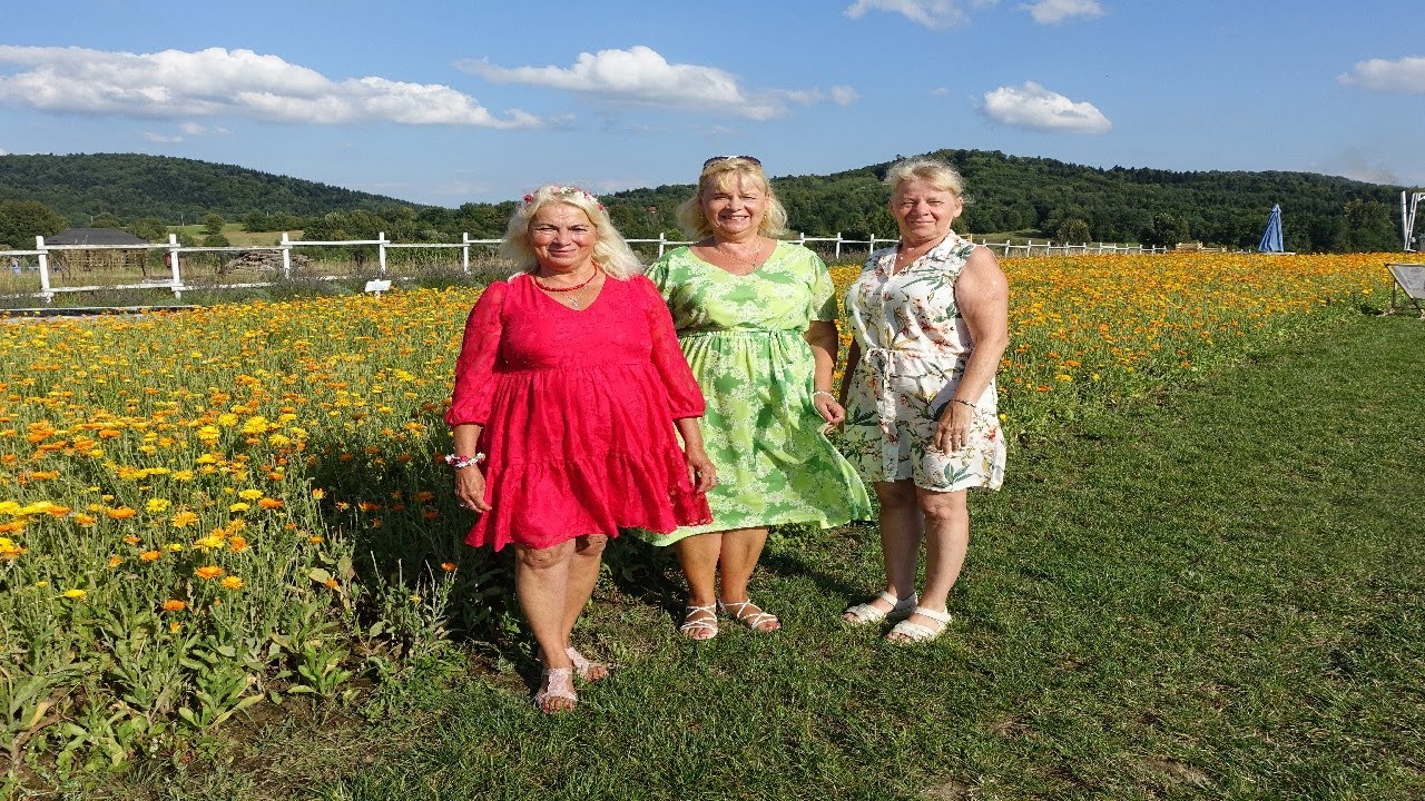 Wisła, słoneczniki, motyle - wycieczka