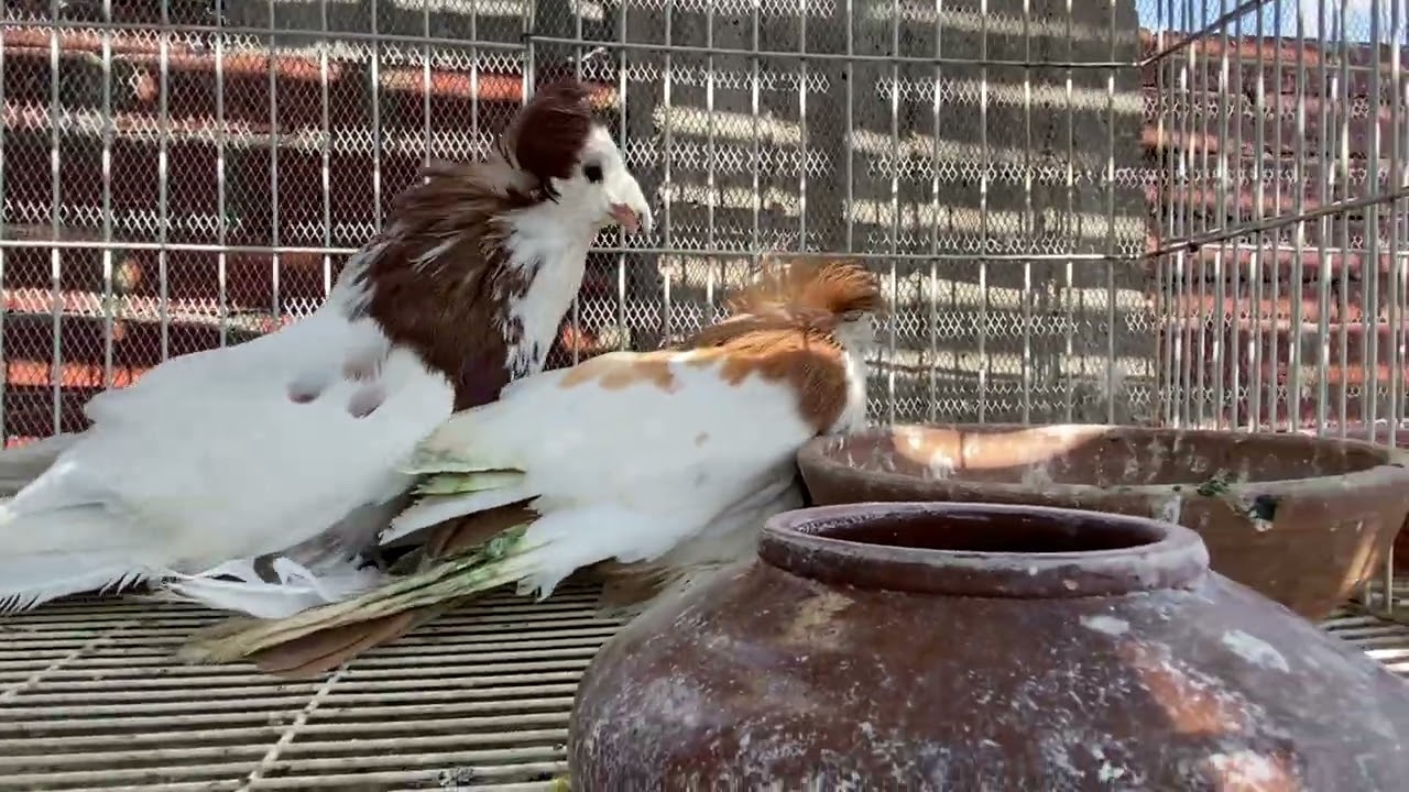 ٨ سبتمبر، ٢٠٢٥