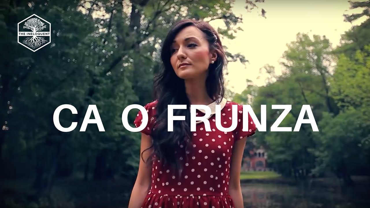 The Ineloquent - Ca O Frunza (Official Video)