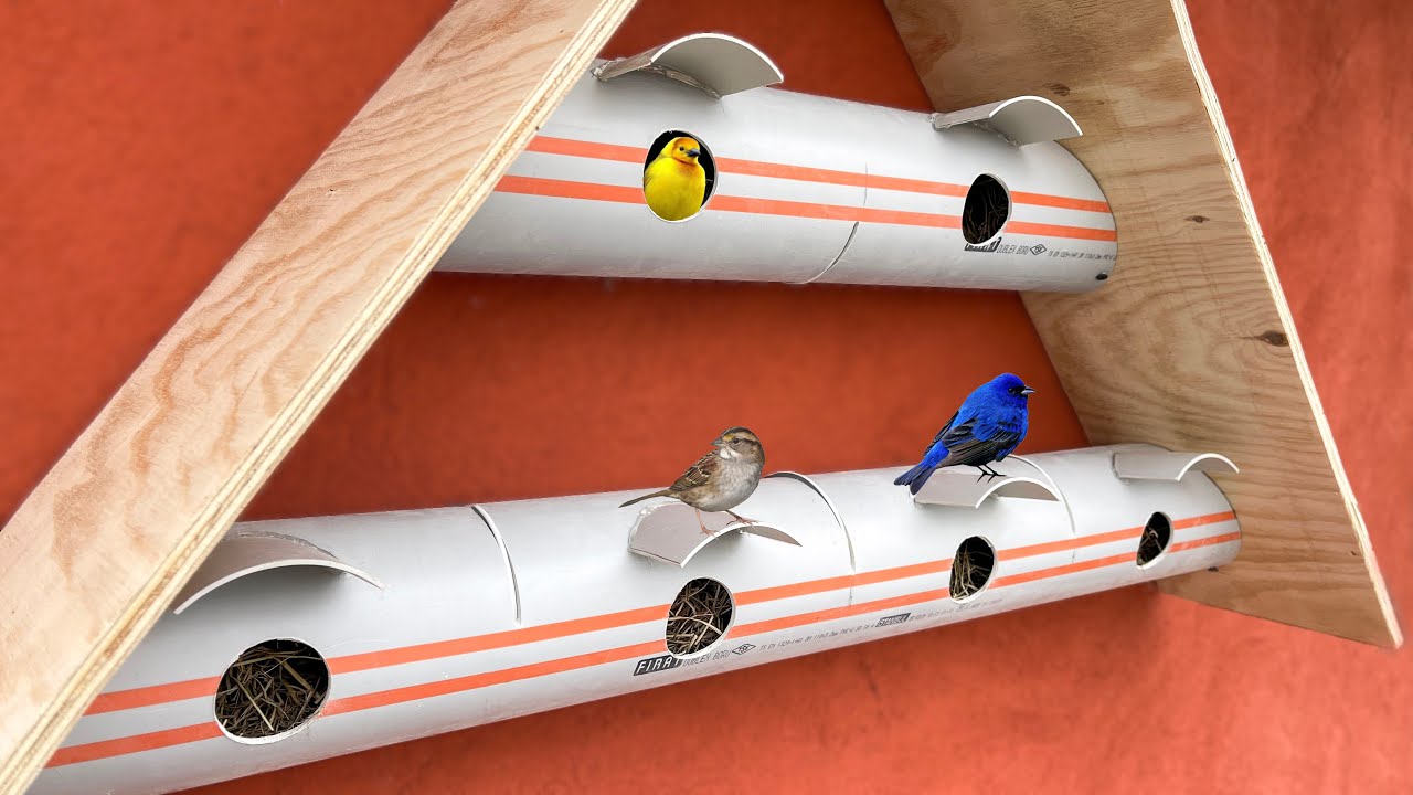 Sıradışı Fikir | Pvc Borulardan Kuş yuvası Yapımı