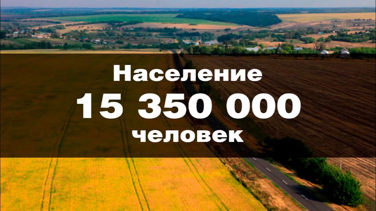 Презентационный ролик МРСК Центра | Video presentation