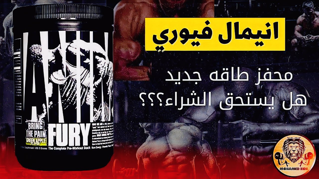 انيمال فيوري | مكونات - طريقة إستخدام | animal fury | pre workout