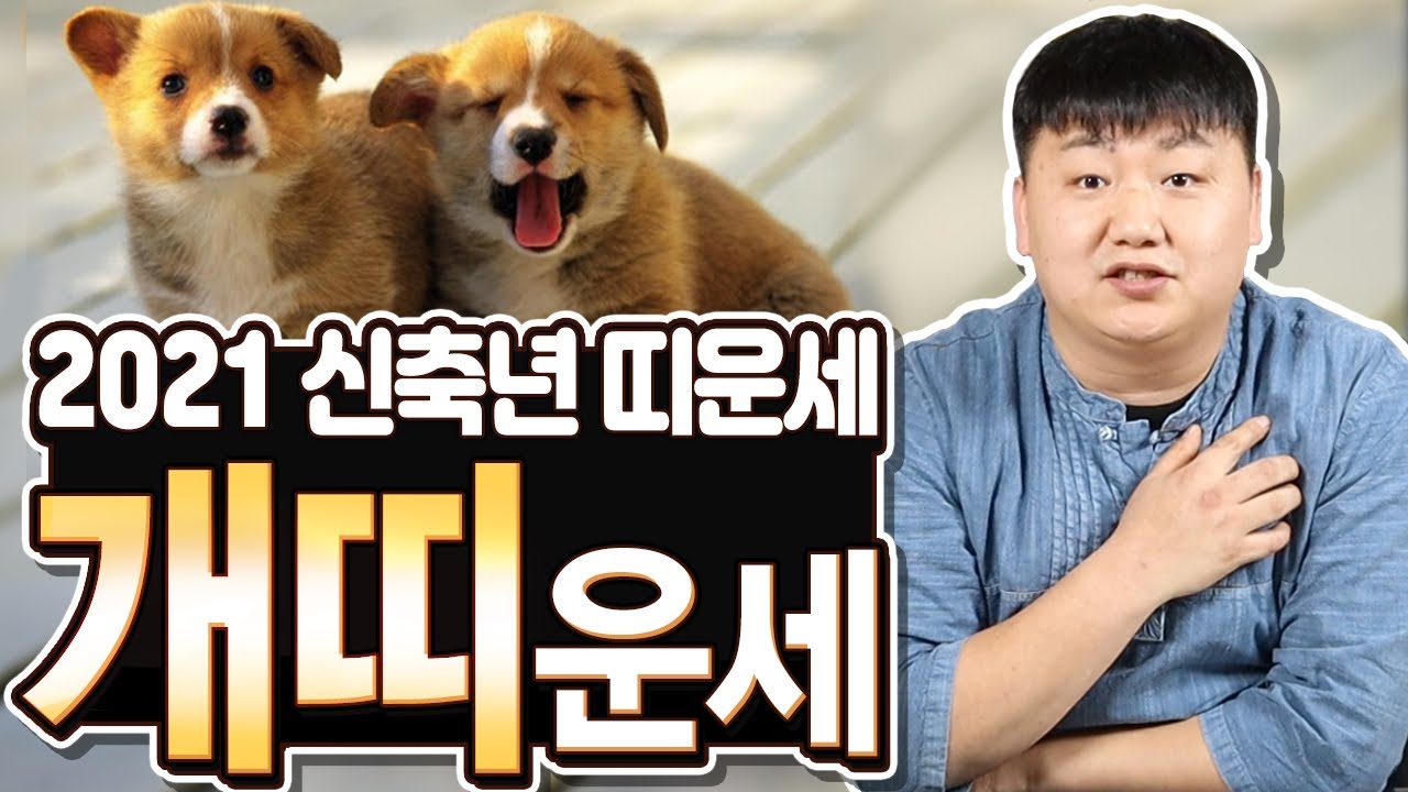 2021년 신축년 '개띠' 나이별 신년운세와 성격!  [#산신장군]