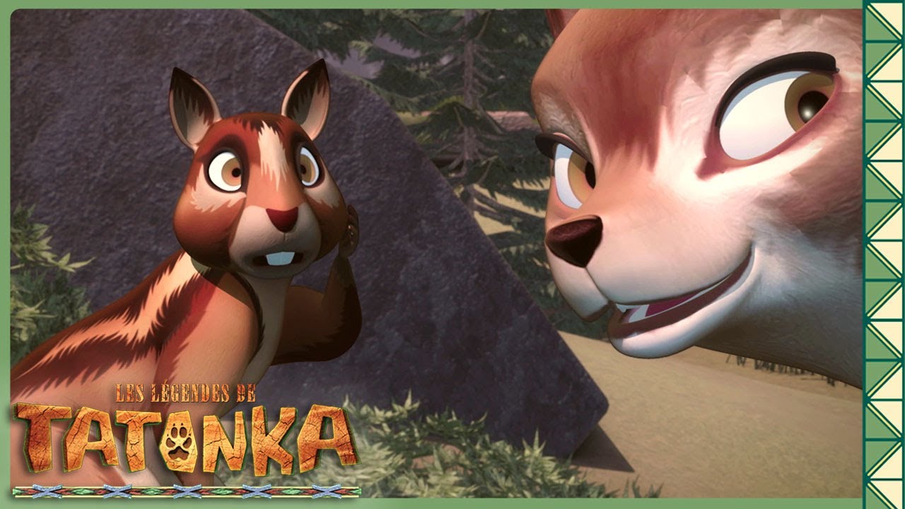 Wahi, l’écureuil le plus délirant de la forêt ! Nouvelle compilation | Tatonka
