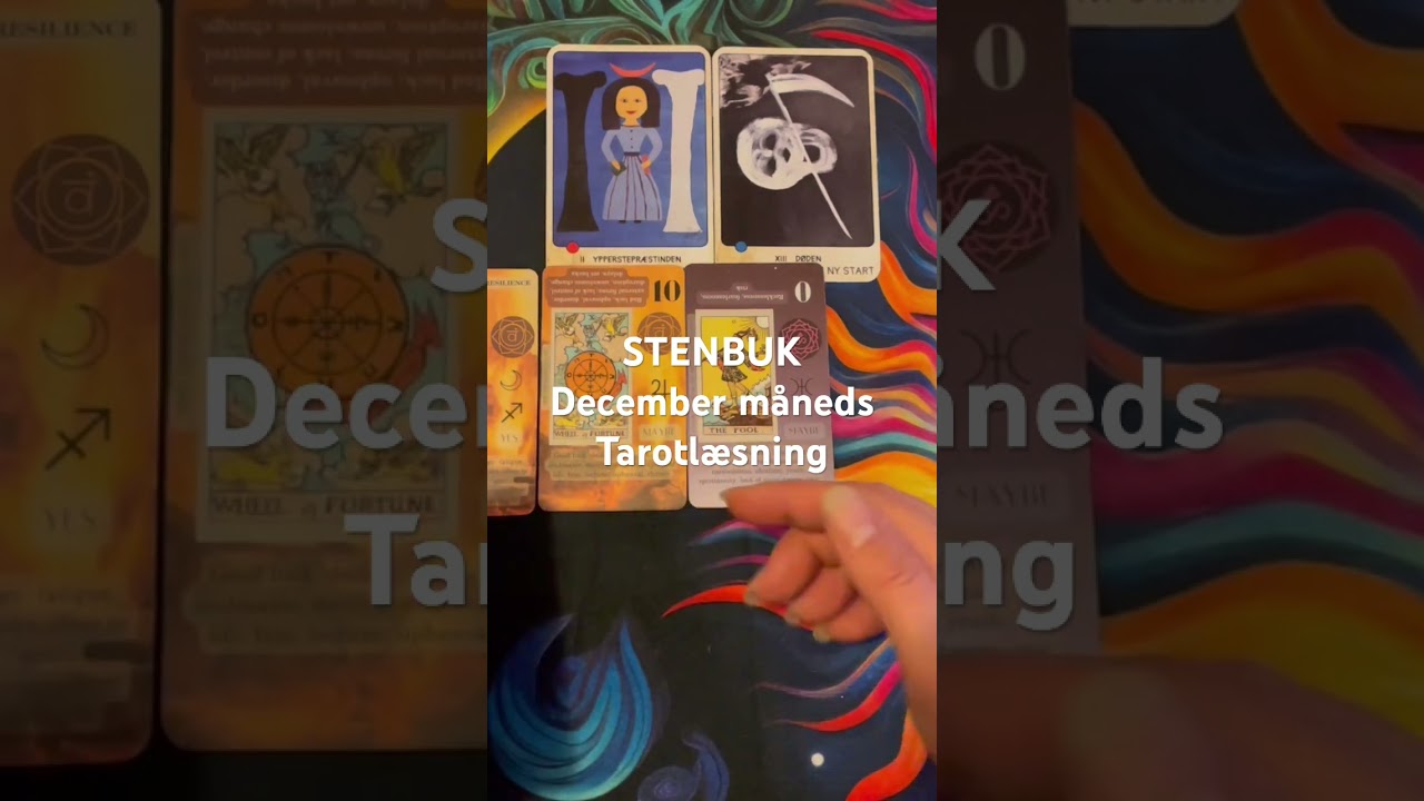 STENBUK ♑️ December m&aring;neds #tarot l&aelig;sning