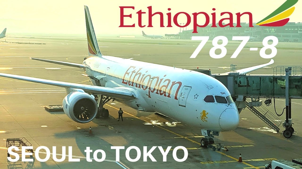 Boeing 787-8 (эконом-класс) авиакомпании Ethiopian Airlines | Сеул - Токио
