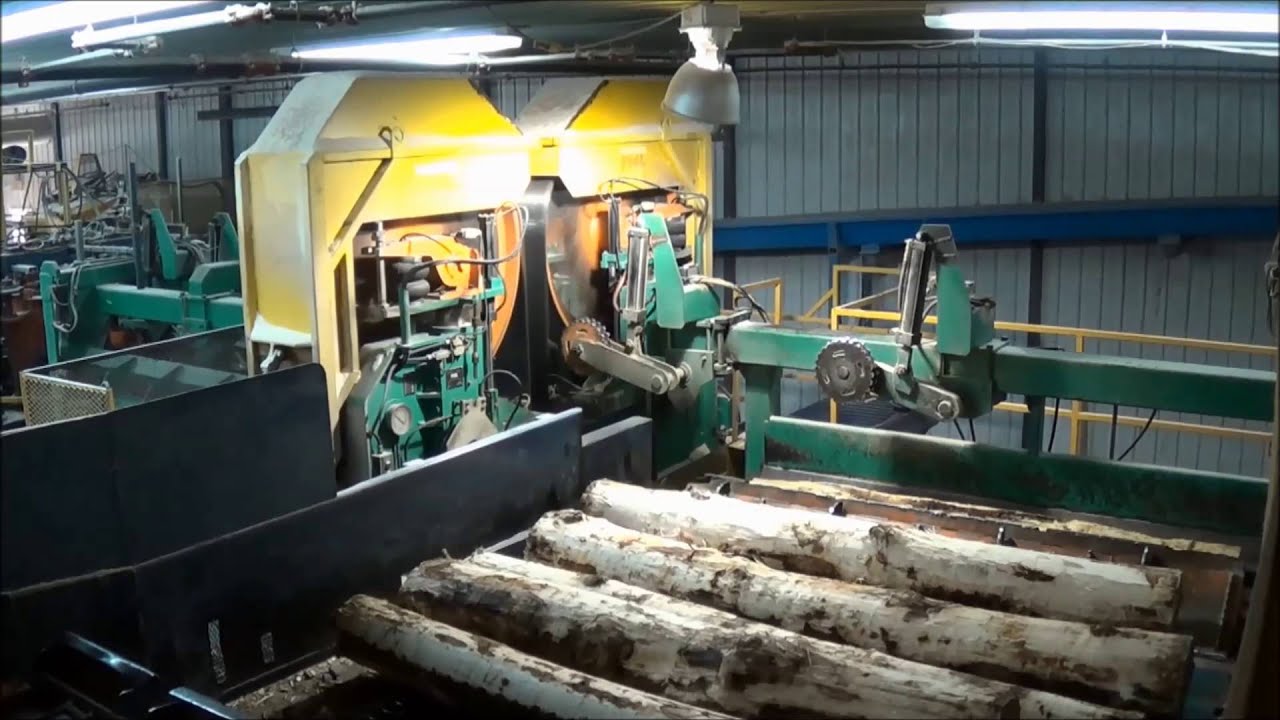 PHL Twin Bandsaw