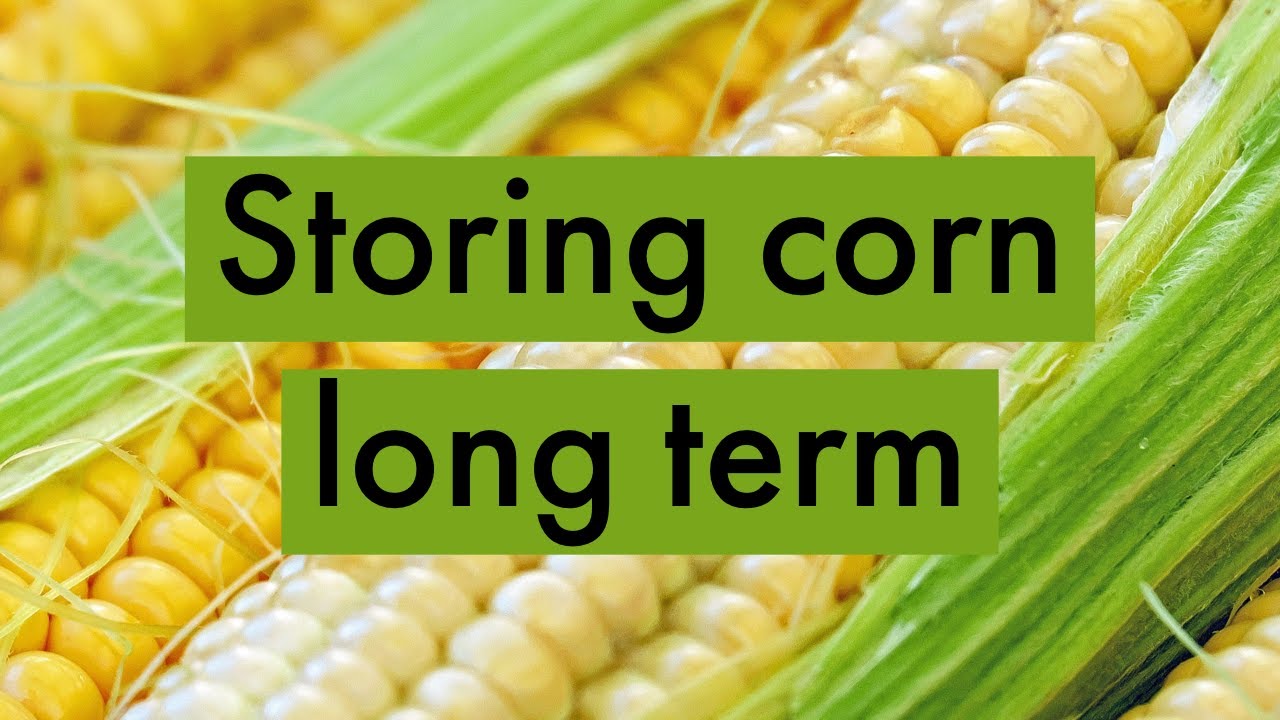 How to Store Corn [Preparedness Unit #5]
