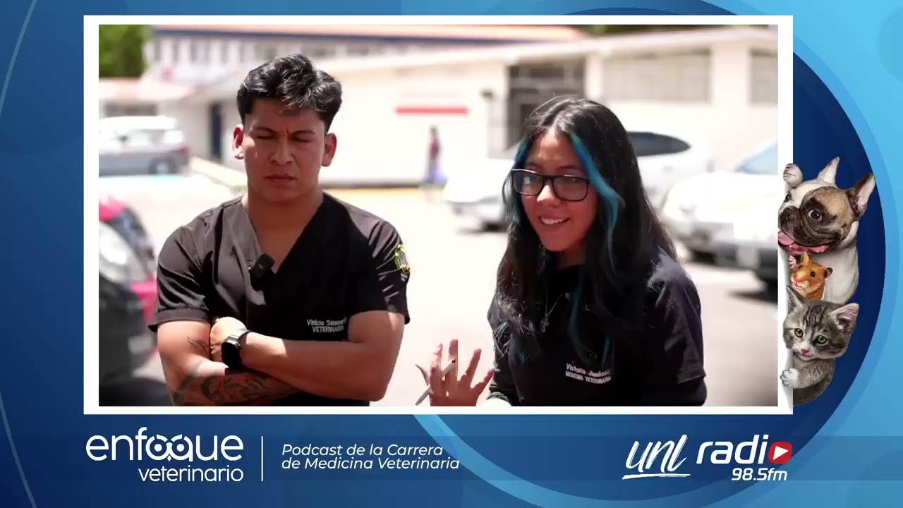 Fauna silvestre | ENFOQUE VETERINARIO