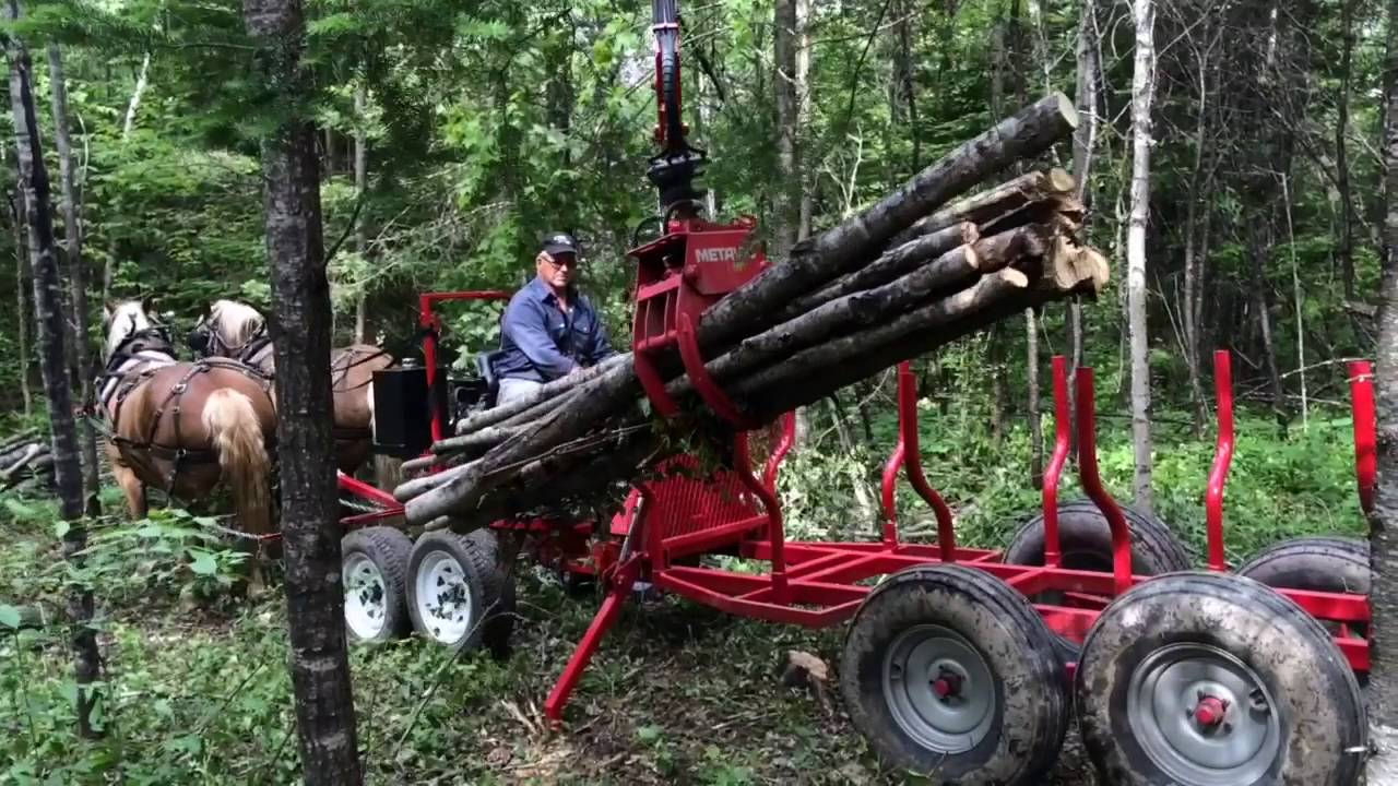 Chargeuse à bois pour chevaux