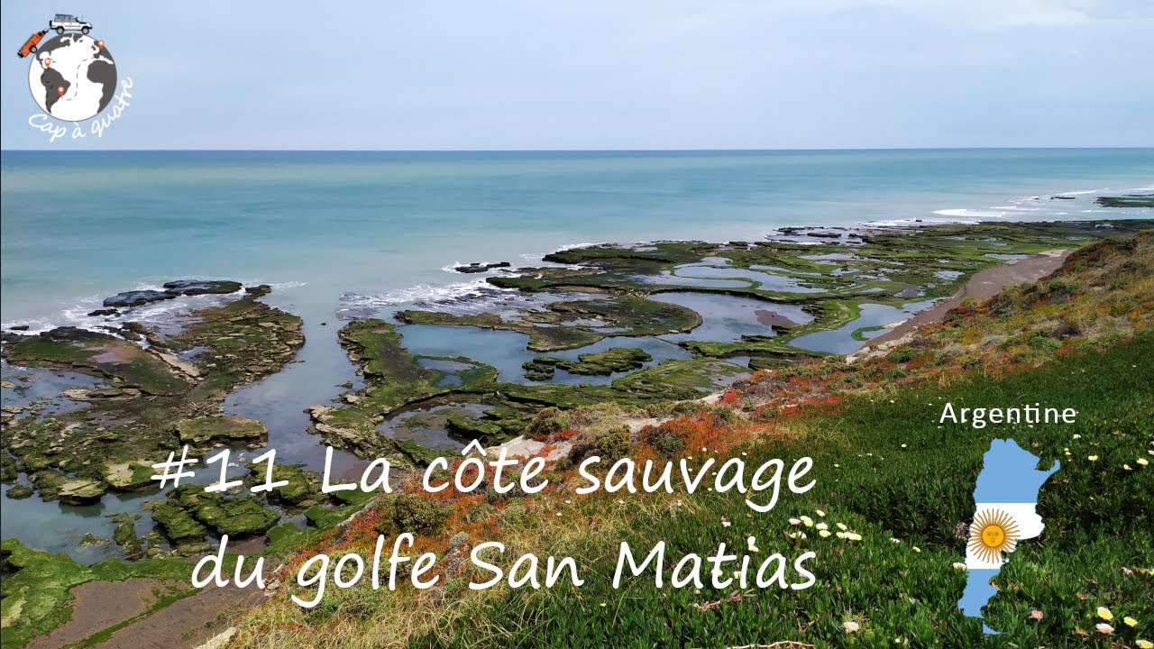 #11 La cote sauvage du golfe San Matias