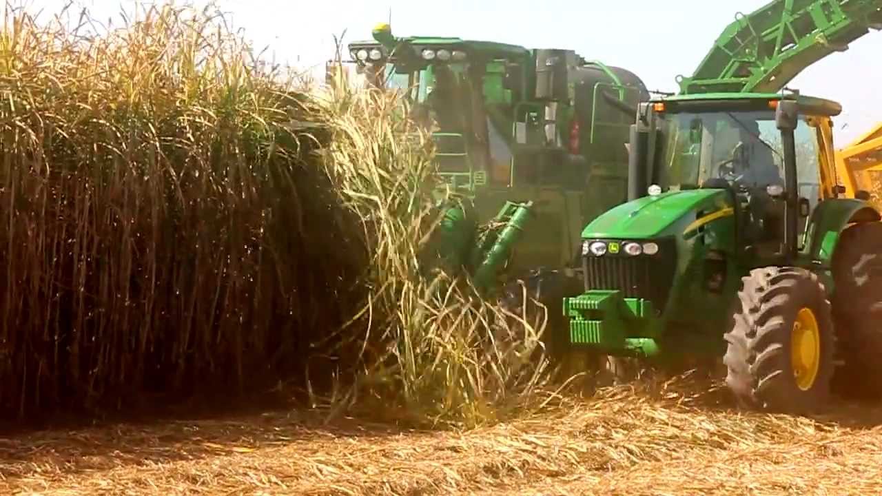 Cosechadora de caña John Deere 3522