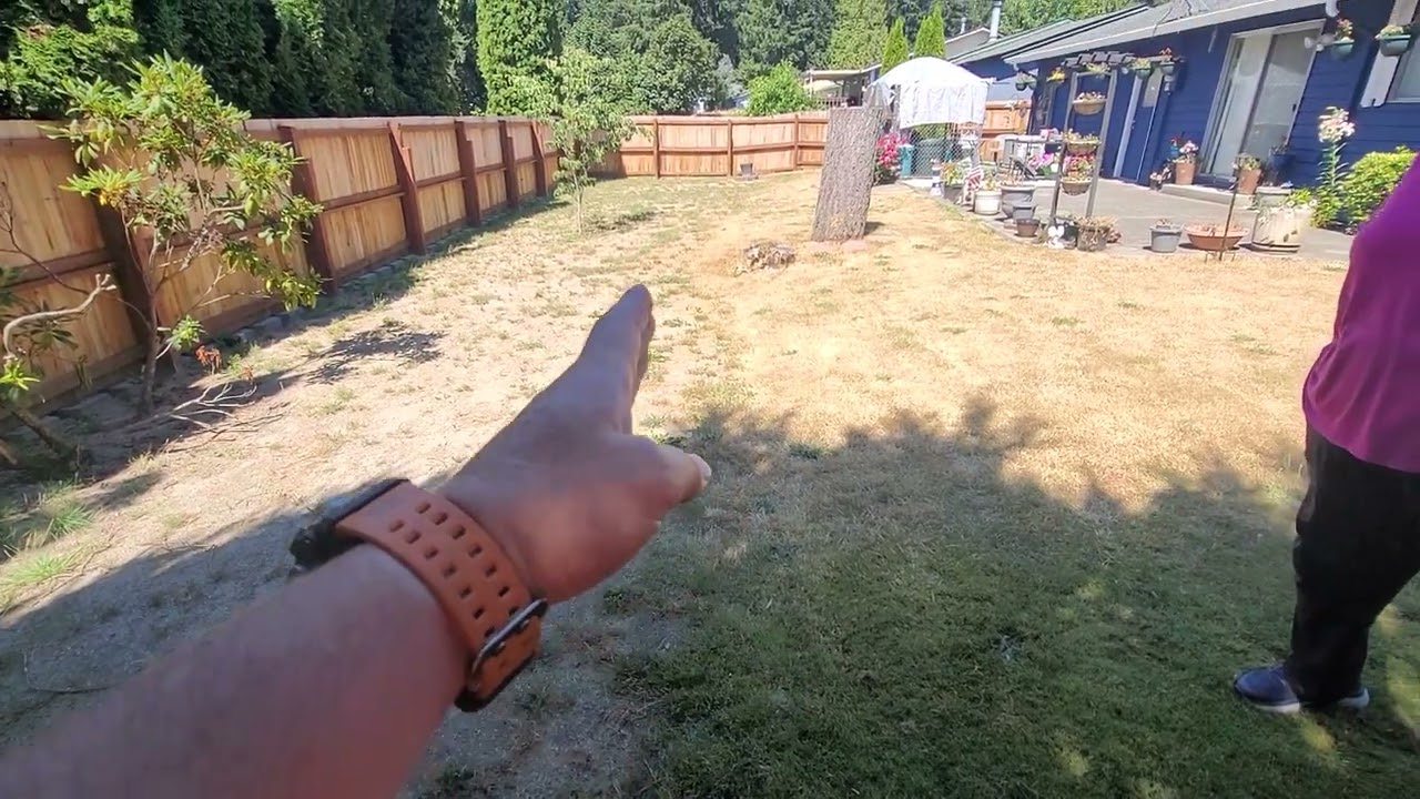 Carol- Backyard Landscape