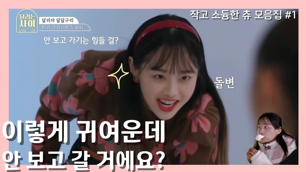 작고 소듕한 츄 모음집 #1 ㅣ세상에나 이렇게 귀여운 우리 츄 안 보고 갈 거예요??
