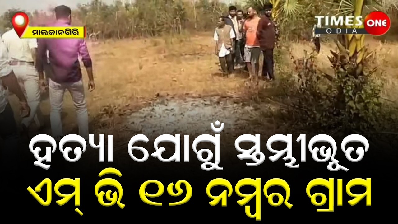 ହତ୍ୟା ଯୋଗୁଁ ସ୍ତମ୍ଭୀଭୂତ ଏମ୍ ଭି ୧୬ ନମ୍ବର ଗ୍ରାମ ।Malkangiri news | Times one odia | Odisha news |Mv 16