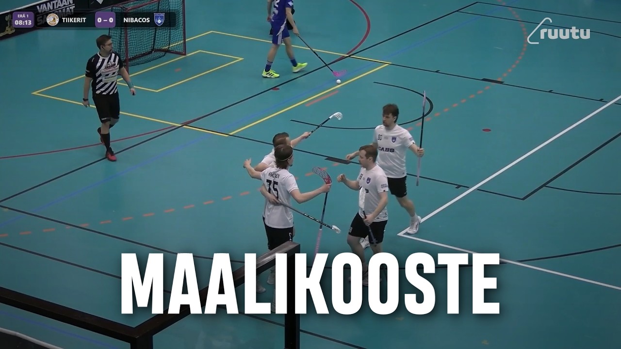Maalikooste: Tiikerit - Nibacos (Inssi-Divari M)