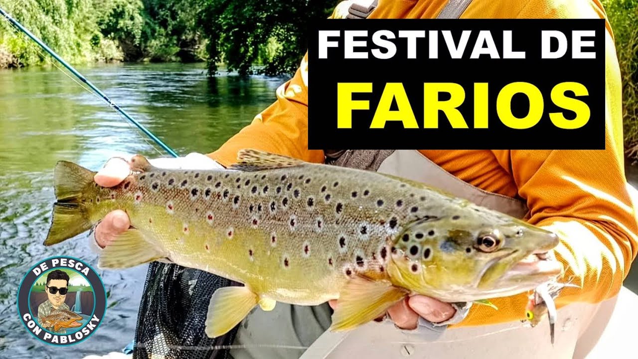 Festival de TRUCHAS  FARIO!!!....muchos piques y capturas.